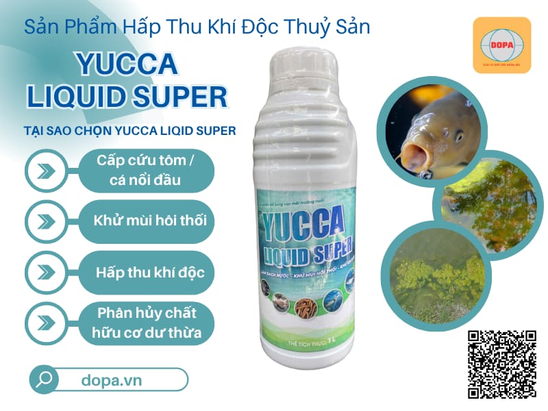 Cách xử lý bùn đáy ao nuôi tôm hiệu quả để vụ mùa bội thu